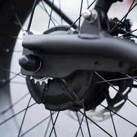 Mangosteen FT02 EEC Chopper Bike