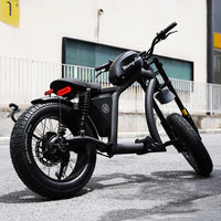 Mangosteen FT02 EEC Chopper Bike