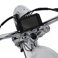 Mangosteen FT02 Electroplated Ebike