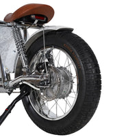 Mangosteen FT02 Electroplated Ebike