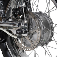 Mangosteen FT02 Electroplated Ebike