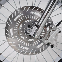 Mangosteen FT02 Electroplated Ebike