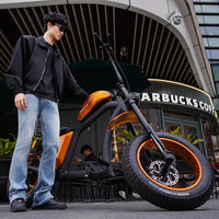 Mangosteen Chopper Electric Bike FT02 Ebike Best for You