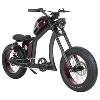 Mangosteen Chopper Electric Bike FT02 Ebike Best for You