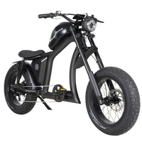 Mangosteen Chopper Electric Bike FT02 Ebike Best for You