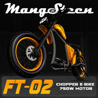 Mangosteen FT02 Ebike