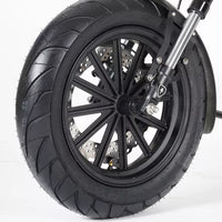 Mangosteen M1P Electric Scooter-Upgraded