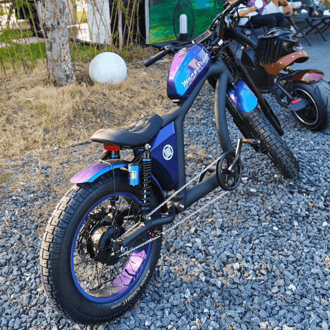 Mangosteen Chopper Electric Bike FT02 Ebike Best for You