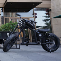 Mangosteen Chopper Electric Bike FT02 Ebike Best for You