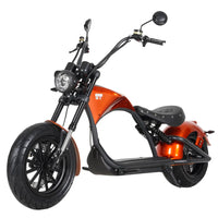 Mangosteen M1P Electric Scooter-Upgraded
